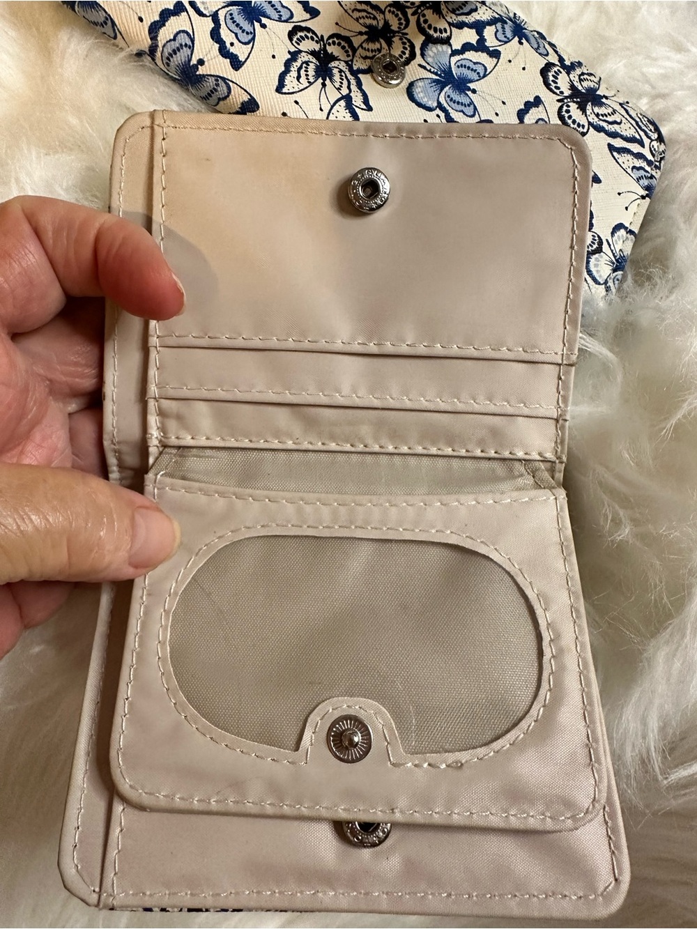 Cream 2 piece Blue Butterfly Print Wallet Set - Picture 9 of 10